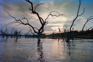 c01 1009 00004