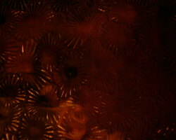 2000-03-09 23-46-34
