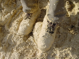 2001-01-28 14-36-15
