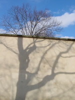 2002-03-14 16-17-12