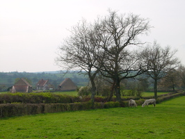 2002-03-31 16-11-56