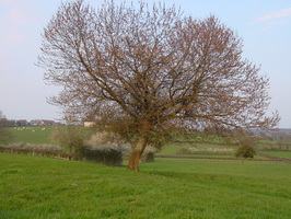 2003-04-10 18-34-35