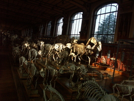 2004-02-13 10-45-13