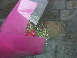 2004-03-07 16-16-35