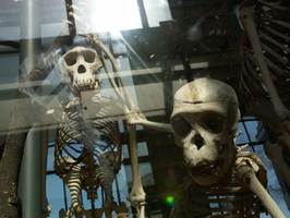 2004-03-29 11-22-47