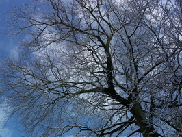 2004-01-29 13-14-04