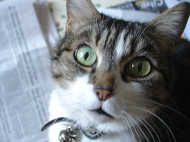 2005-01-27 13-09-04