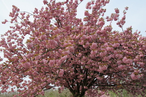 2006-04-23 14-18-14