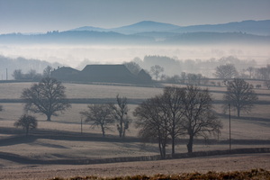 2007-12-29 11-26-19