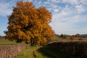 2007-11-05 11-58-56