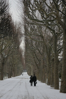 2010-02-10 04-35-38