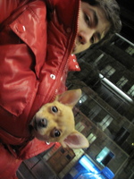 2010-02-28 19-55-40