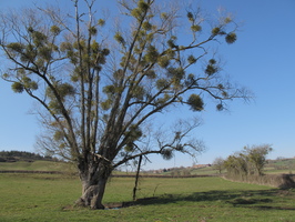2010-03-05 14-30-06