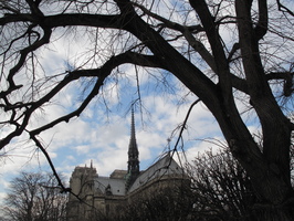 2010-03-14 16-06-49