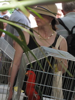 2010-06-27 11-30-43