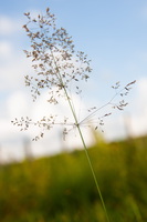 2010-07-04 06-51-45