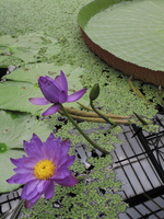 2010-08-01 17-00-07