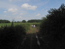 2010-08-17 10-59-40