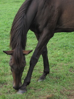 2010-08-23 18-28-47