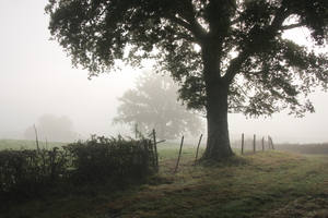 2010-09-10 09-14-35