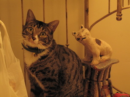 2010-09-22 20-06-00