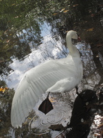 2010-10-03 13-18-10