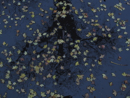 2010-11-06 17-32-48